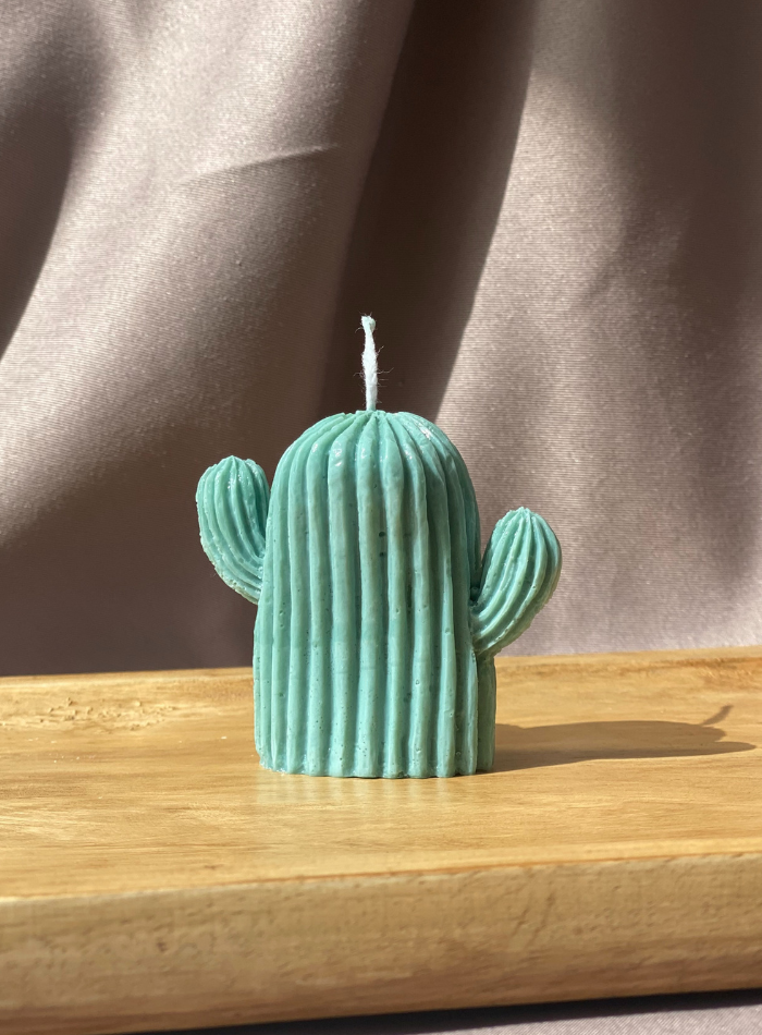 Bougie Cactus
