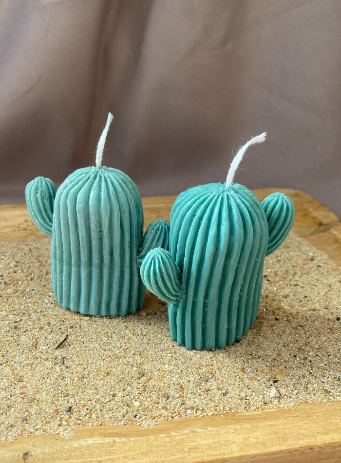 Bougie Cactus