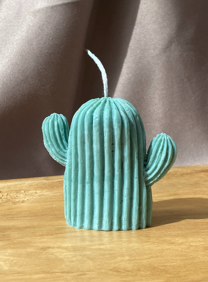 Bougie Cactus