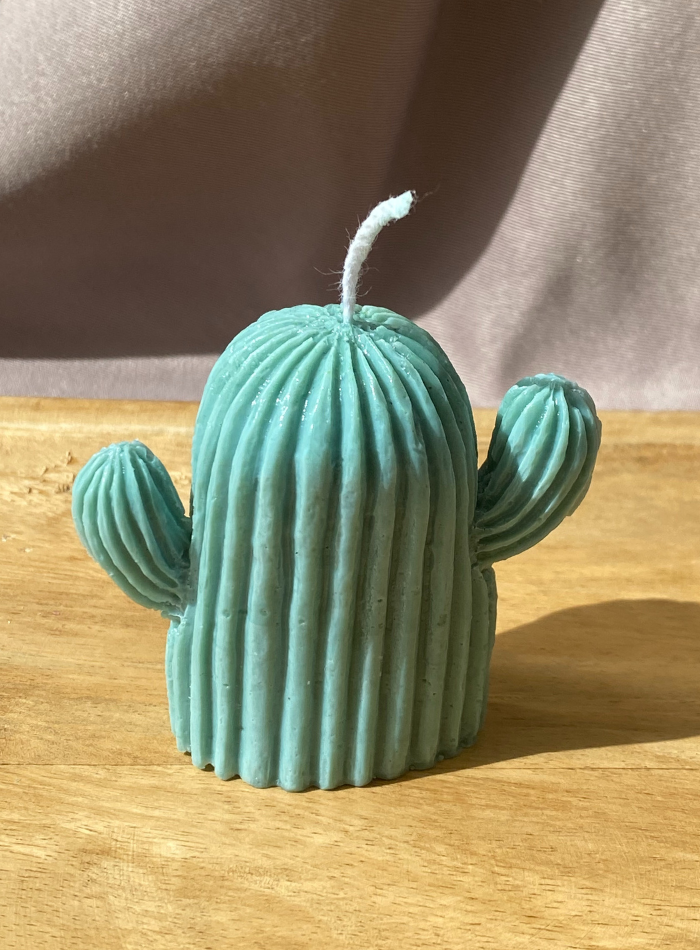 Bougie Cactus