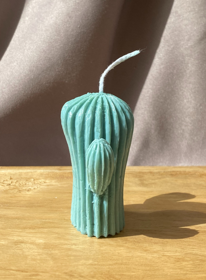Bougie Cactus
