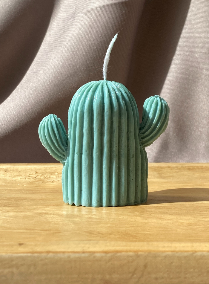 Bougie Cactus