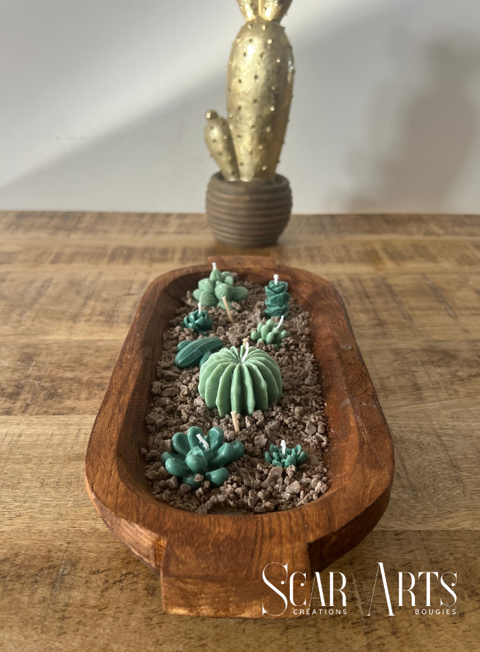 Composition de Bougies Cactus | Décoration Artisanale SCAR ART'S