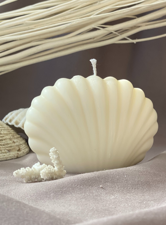 Bougie Coquillage