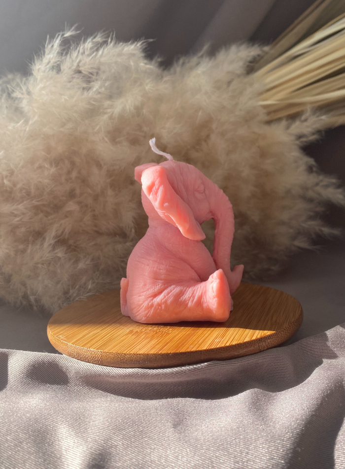 Bougie Eléphant Dumbo