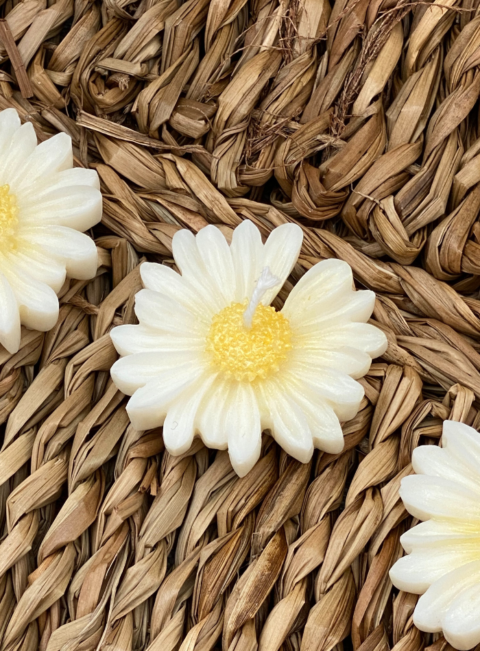 Bougie Fleur Pâquerette