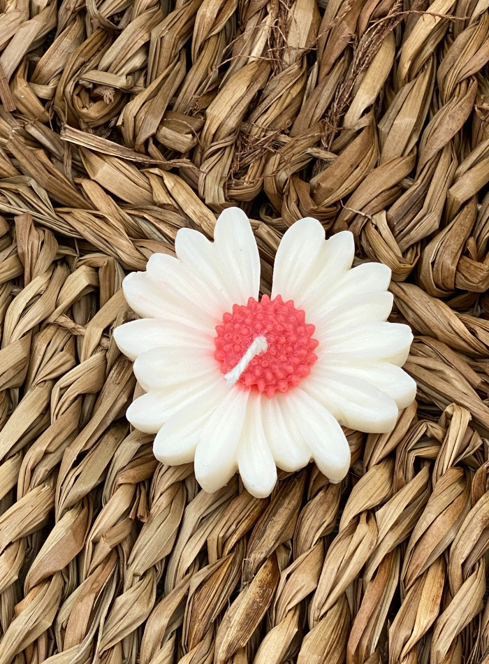 Bougie Fleur Pâquerette