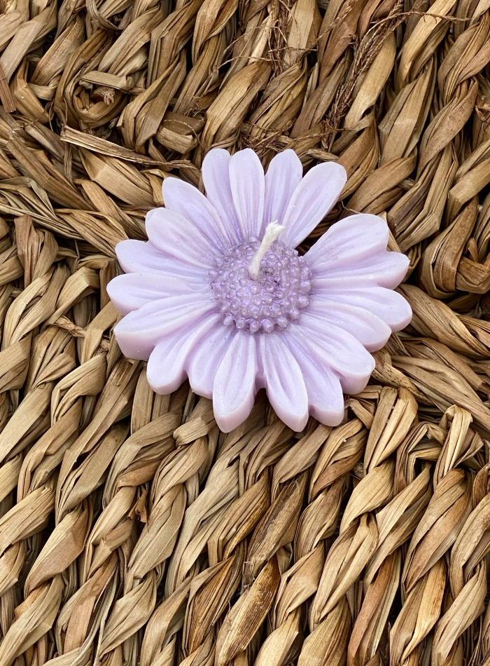 Bougie Fleur Pâquerette