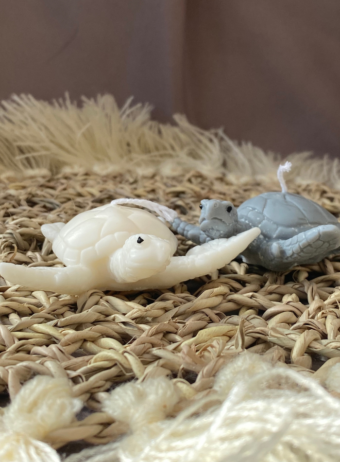 Bougie Tortue de Mer