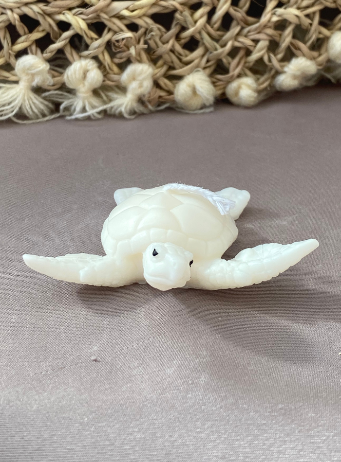 Bougie Tortue de Mer