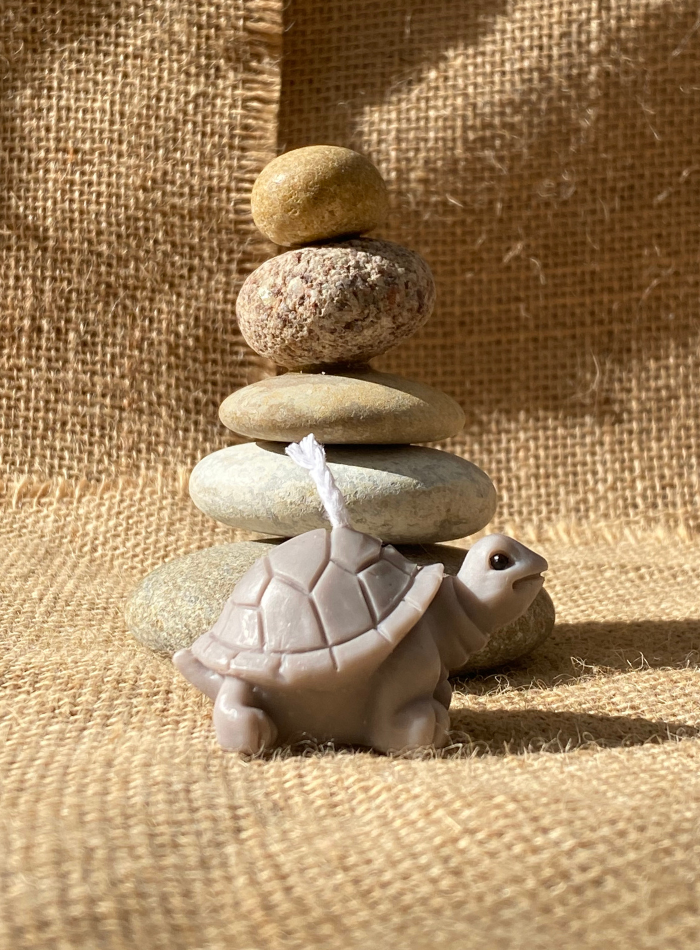 Bougie Tortue