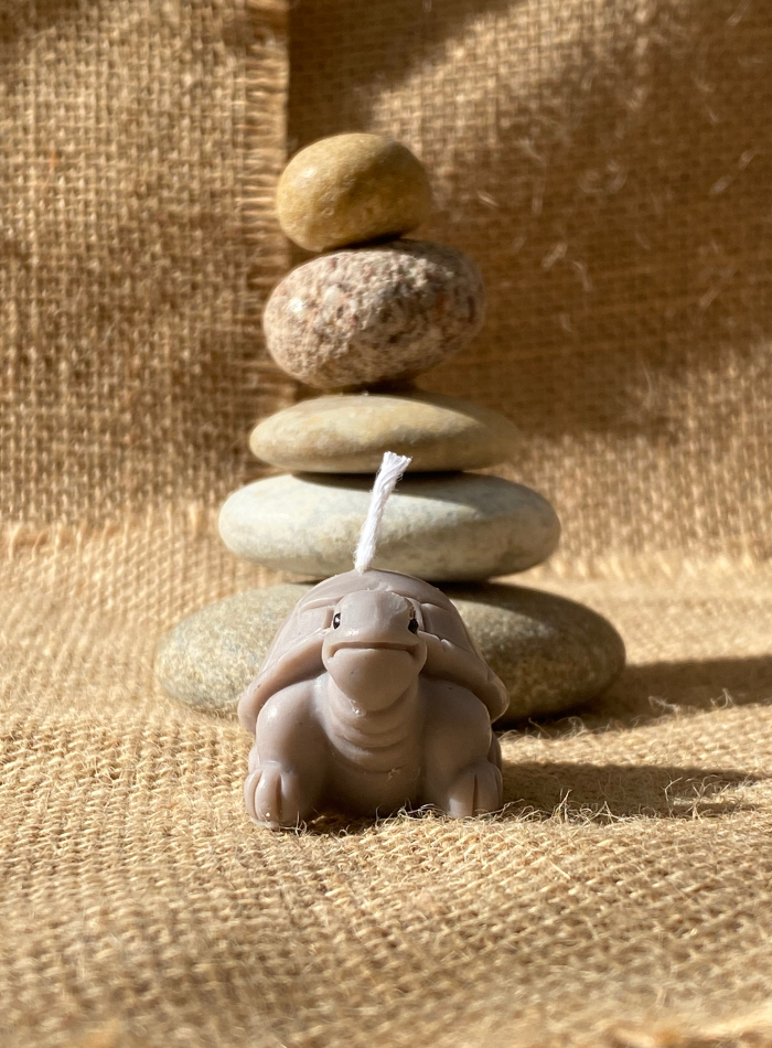 Bougie Tortue