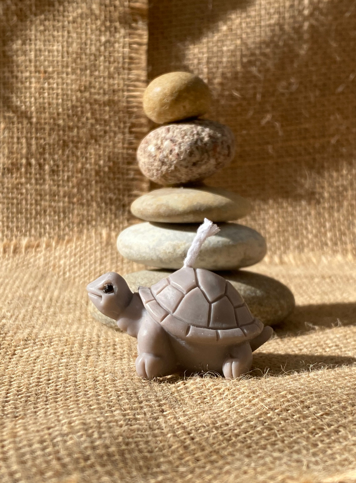 Bougie Tortue