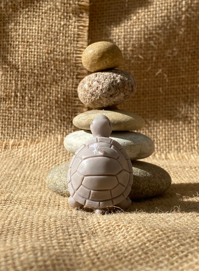 Bougie Tortue
