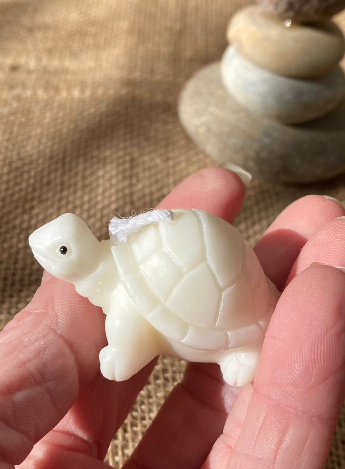 Bougie Tortue
