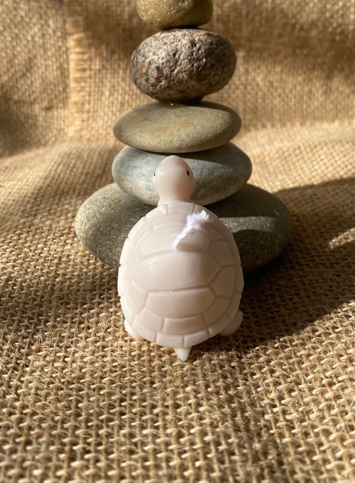 Bougie Tortue
