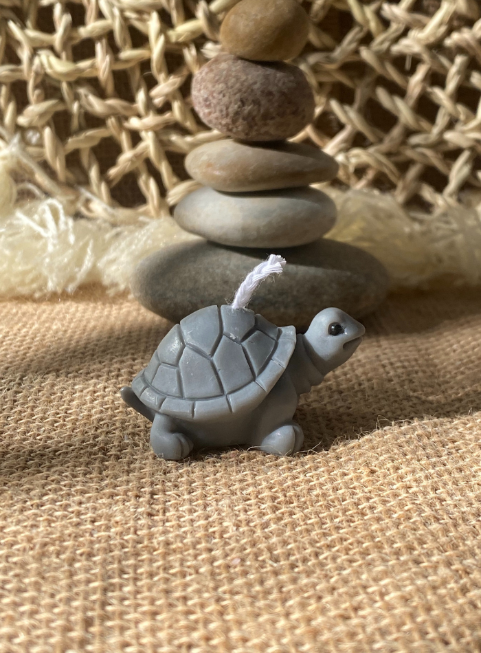 Bougie Tortue