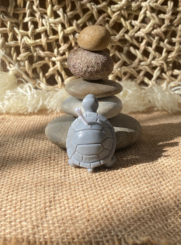 Bougie Tortue