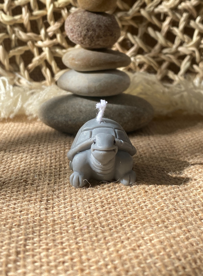 Bougie Tortue
