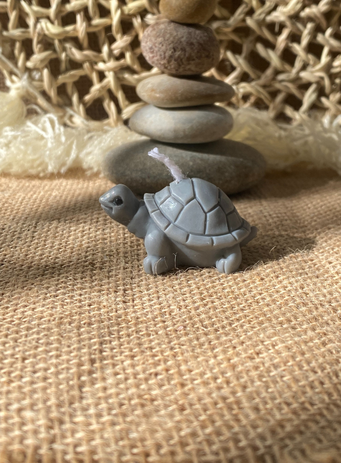 Bougie Tortue