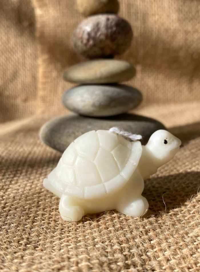 Bougie Tortue