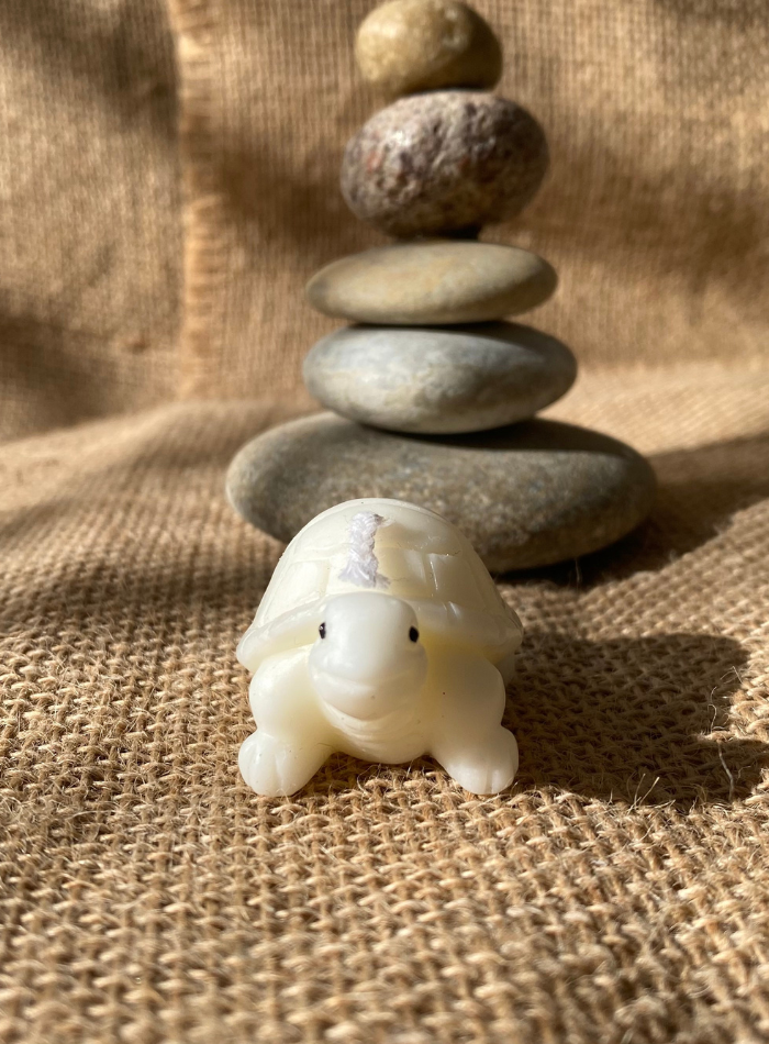 Bougie Tortue