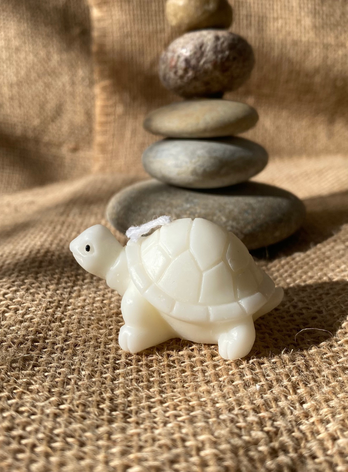 Bougie Tortue
