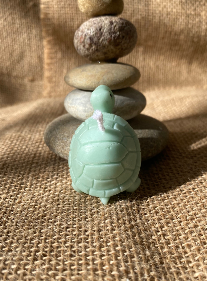 Bougie Tortue