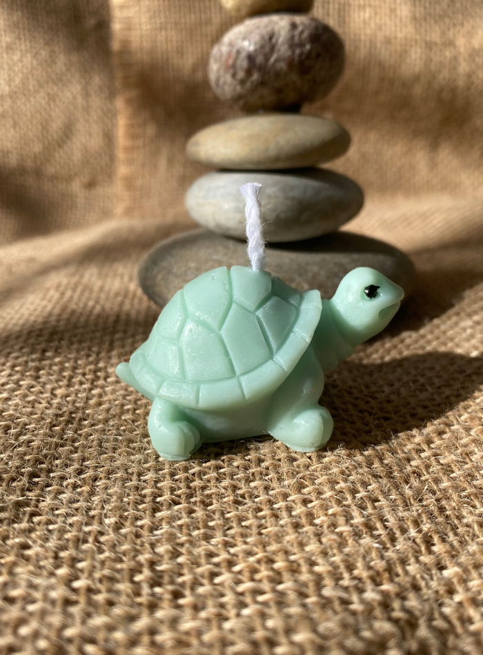 Bougie Tortue