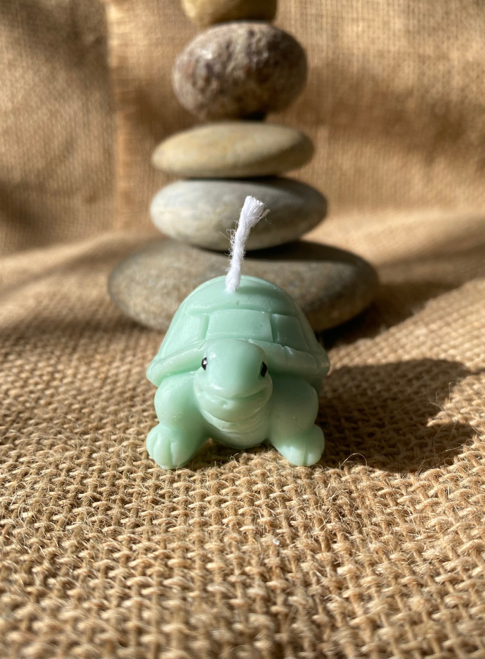 Bougie Tortue