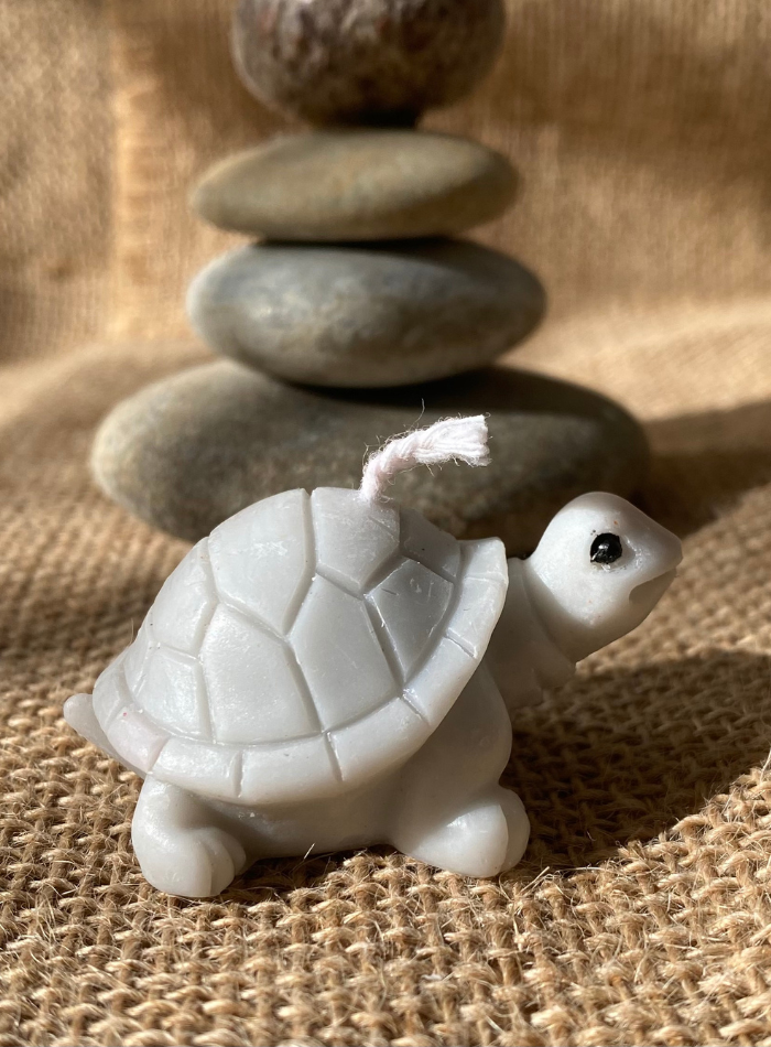 Bougie Tortue