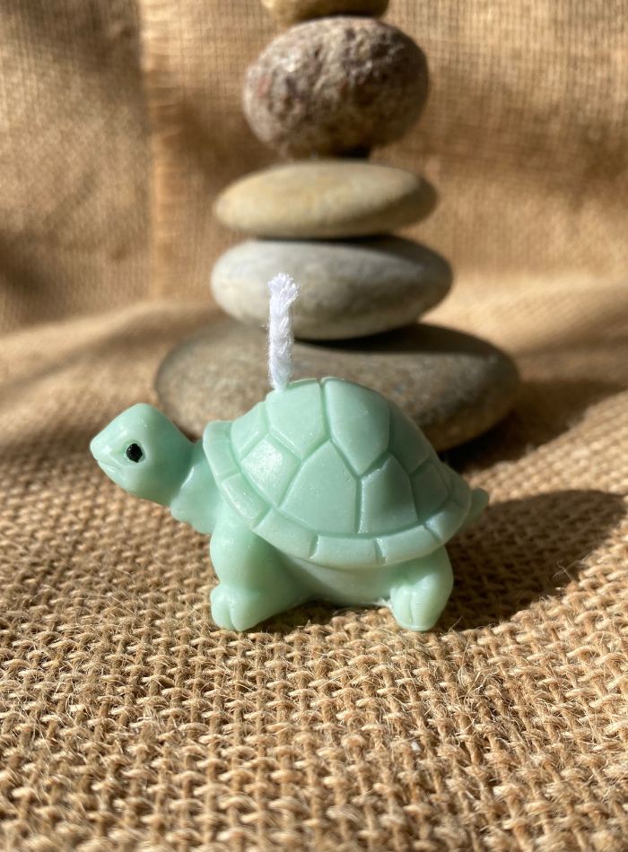 Bougie Tortue