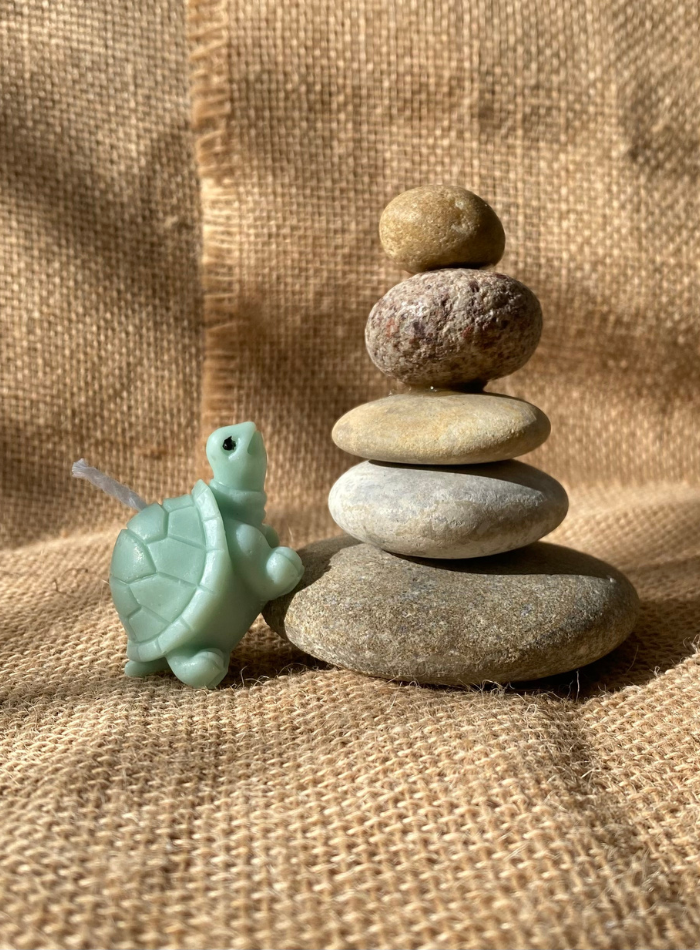 Bougie Tortue