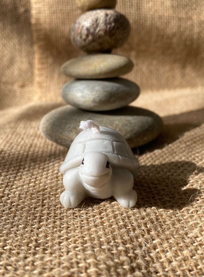 Bougie Tortue