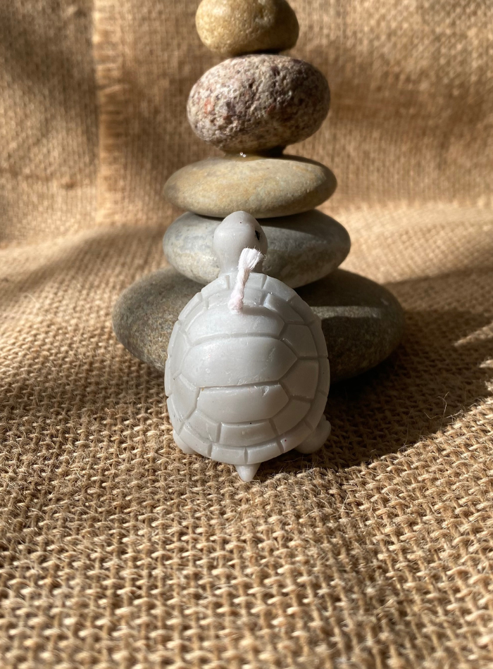 Bougie Tortue