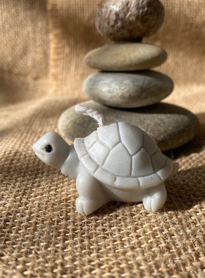 Bougie Tortue