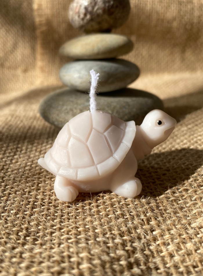 Bougie Tortue