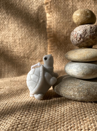 Bougie Tortue