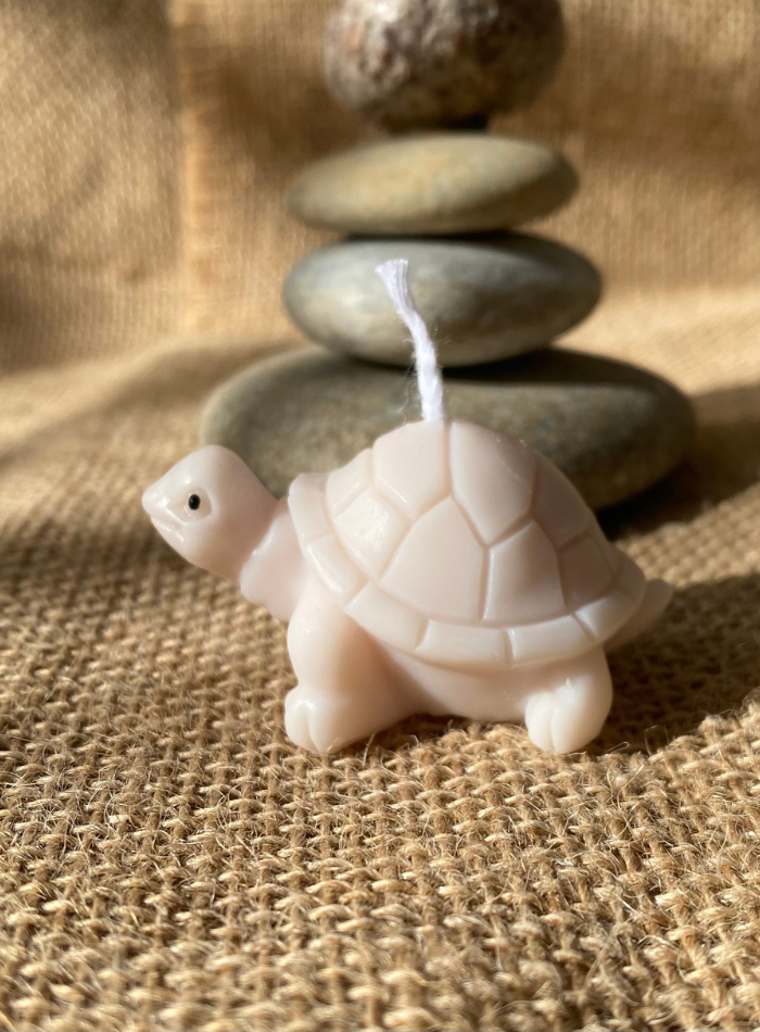 Bougie Tortue