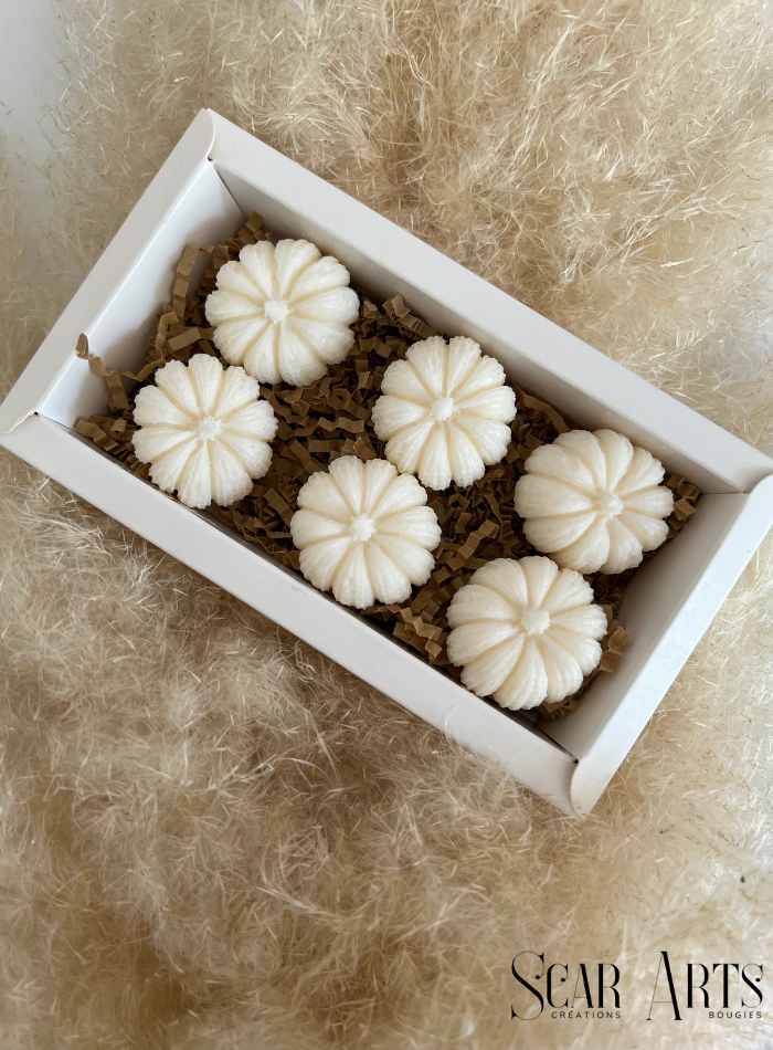 Coffret fondants parfumés CITROUILLES
