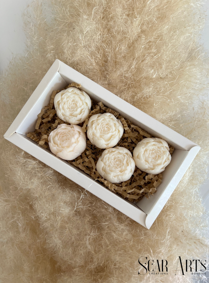 Coffret fondants parfumés PIVOINE