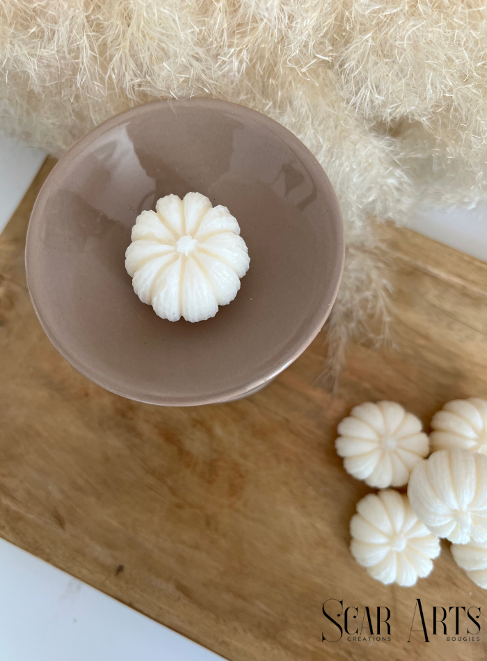 Coffret fondants parfumés CITROUILLES